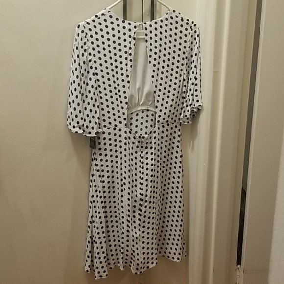 Express women's dress - Picture 3 of 4
